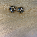 White Stone Earring