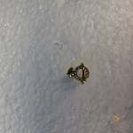 Saturn Nosepin